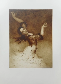 Hřivnáč Tomáš: Flamenco IX.