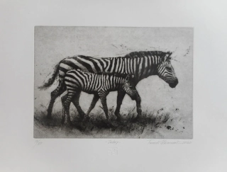 Hřivnáč Tomáš: Zebry