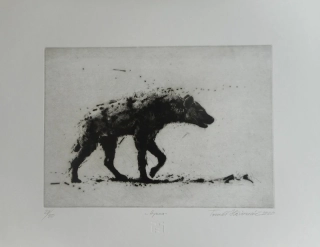 Hřivnáč Tomáš: Hyena