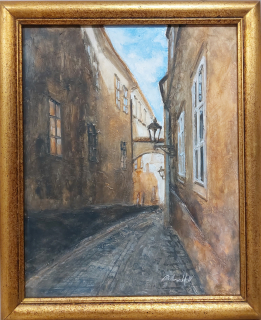 Malkovská Wernerová Eva: Praha - Thunovská ulička