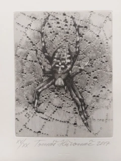 Hřivnáč Tomáš: Křižák (Exlibris)