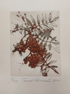 Hřivnáč Tomáš: Jeřabiny (Exlibris)