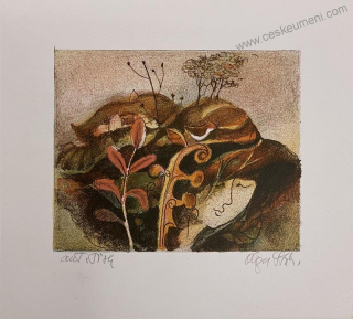 Stárková Olga: Klobouk