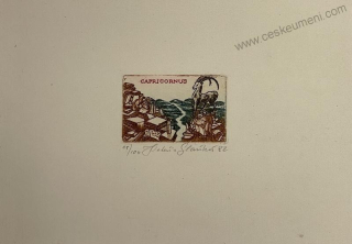 Slavíková Kateřina: Horoskop - Kozoroh