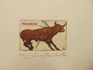 Slavíková Kateřina: Horoskop - Býk