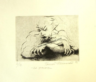 Hřivnáč Tomáš: Za stolem