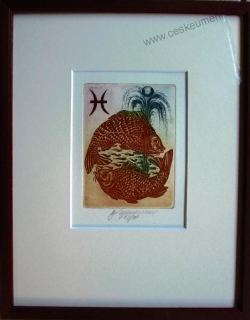 Vychodilová Olga: Měsíční znamení - Ryby